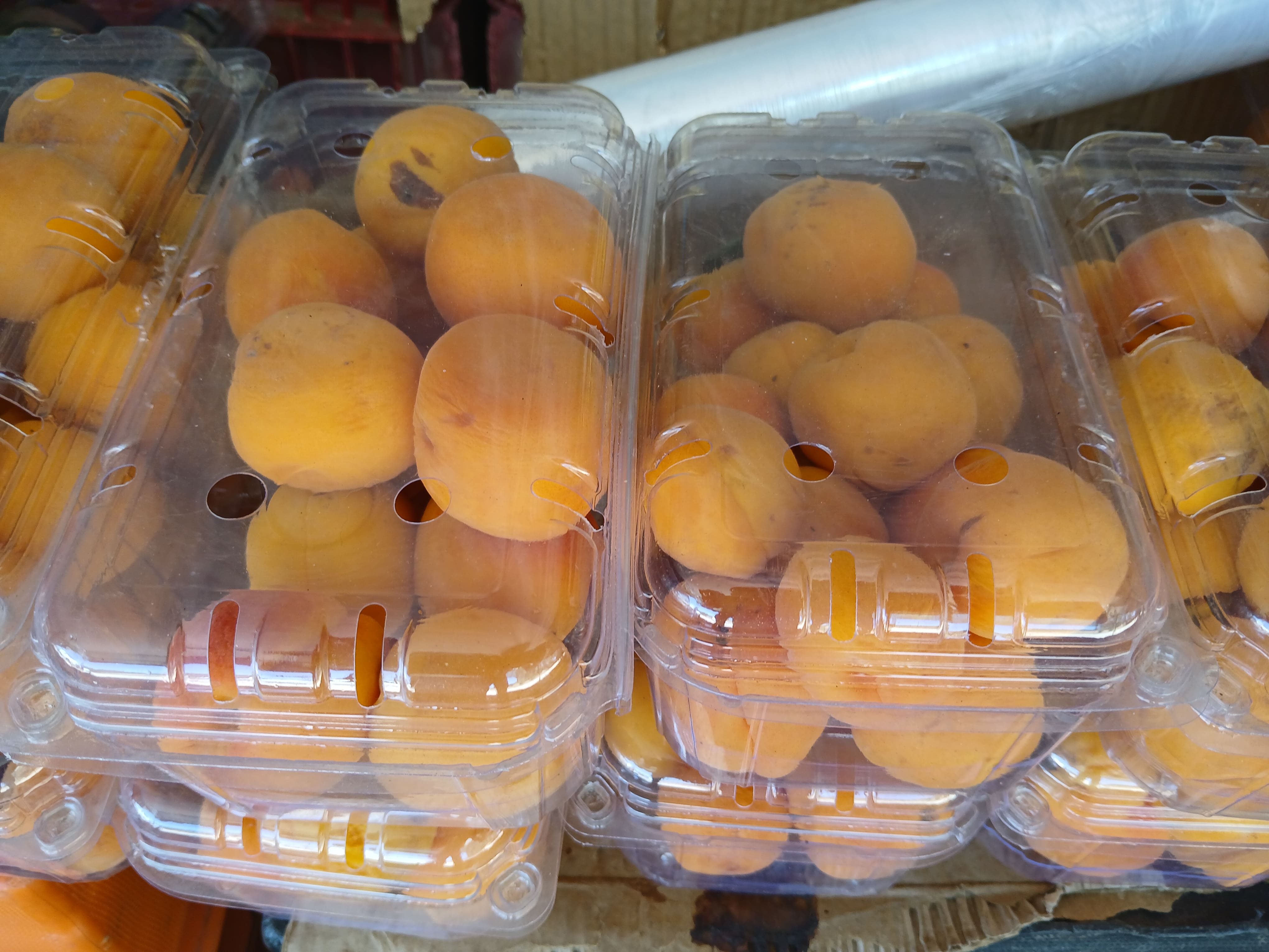 Apricots