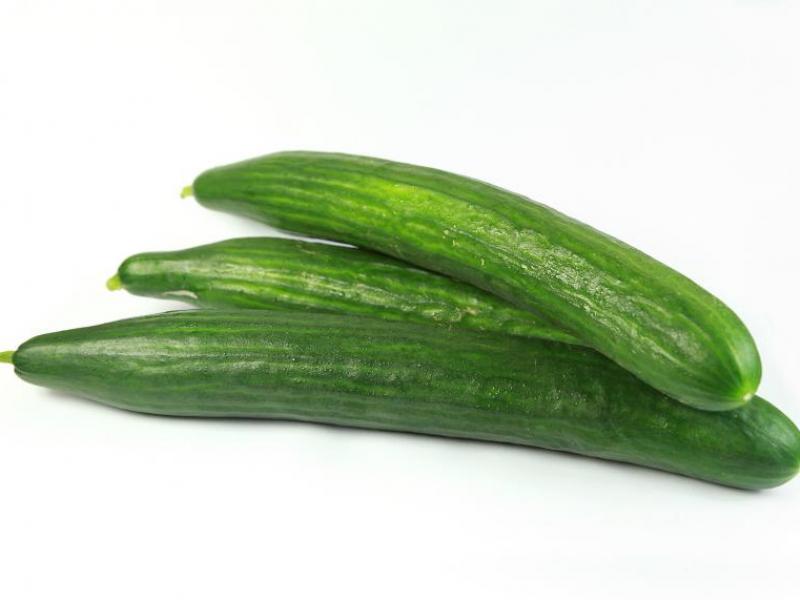 Cucumber