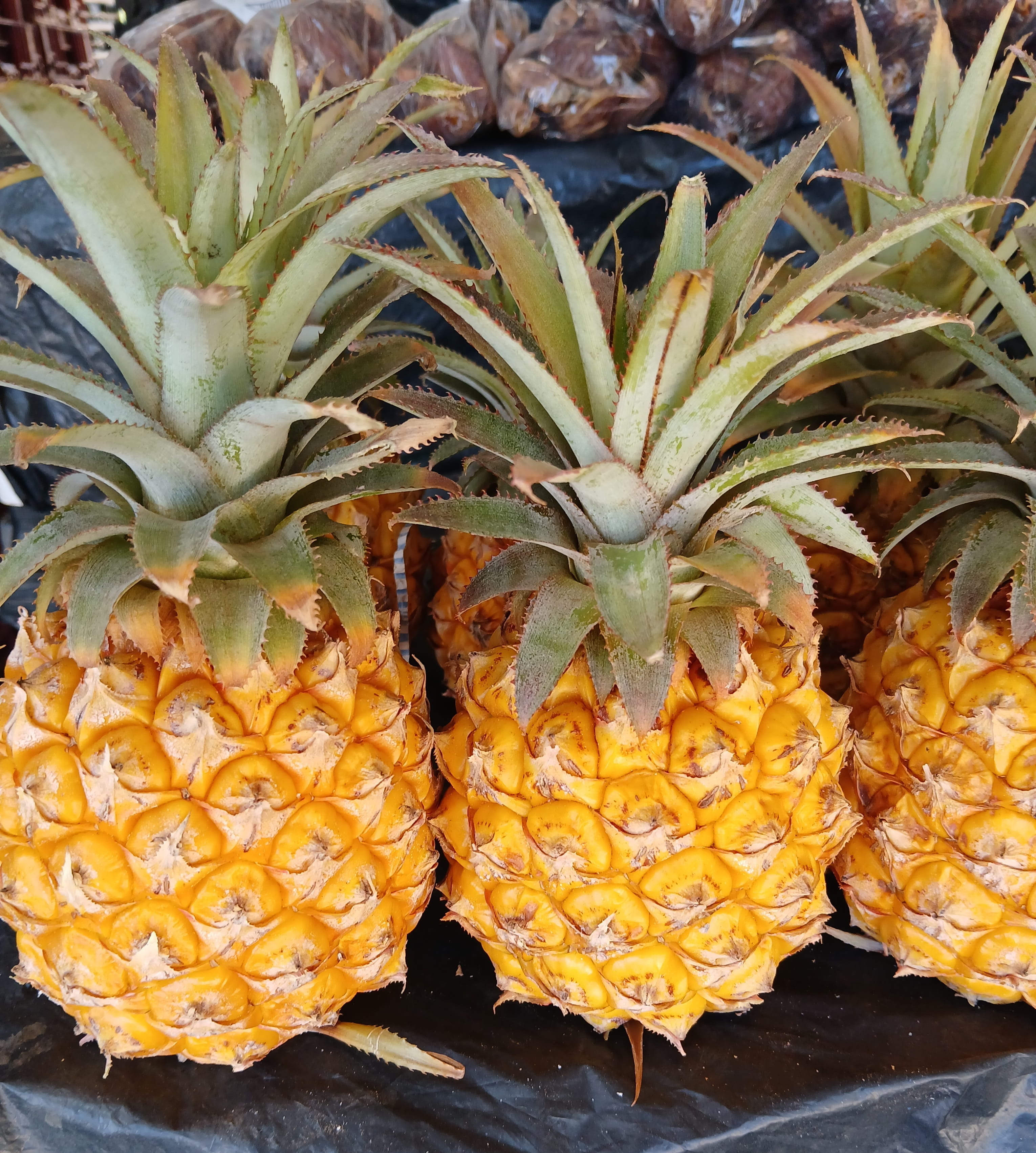 Pineapple