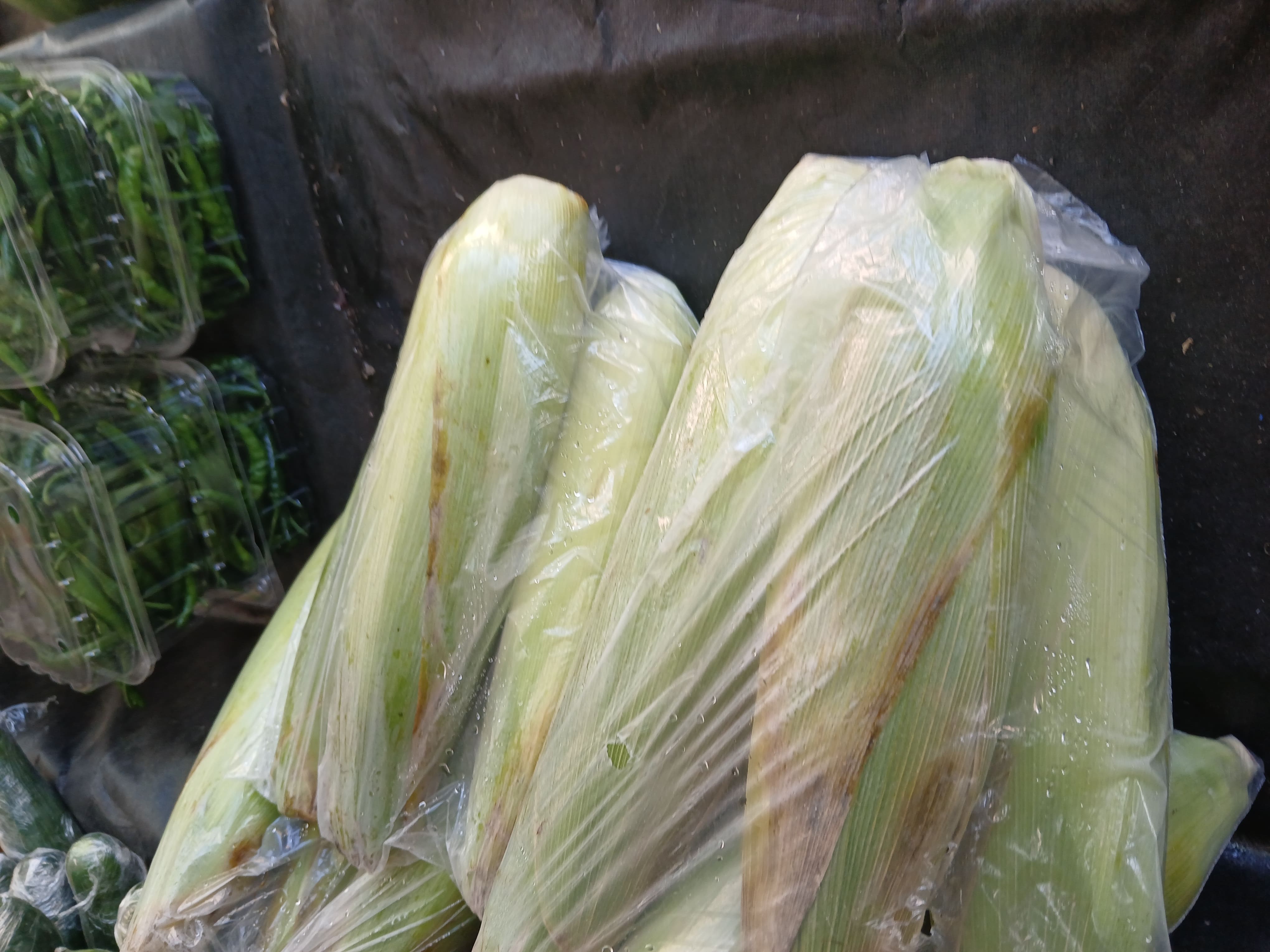 Corn